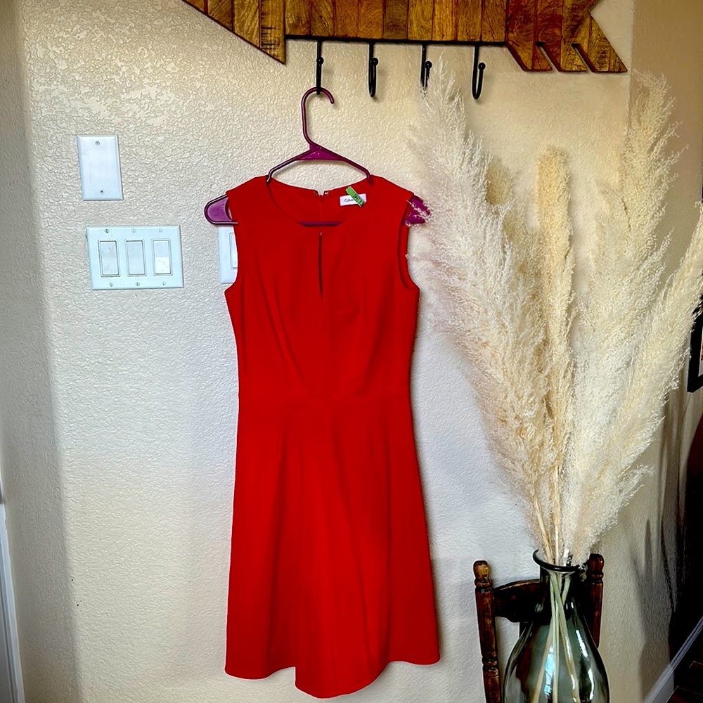 Red Calvin Klein dress